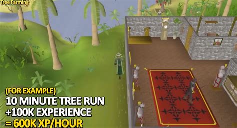 fruit tree runs osrs